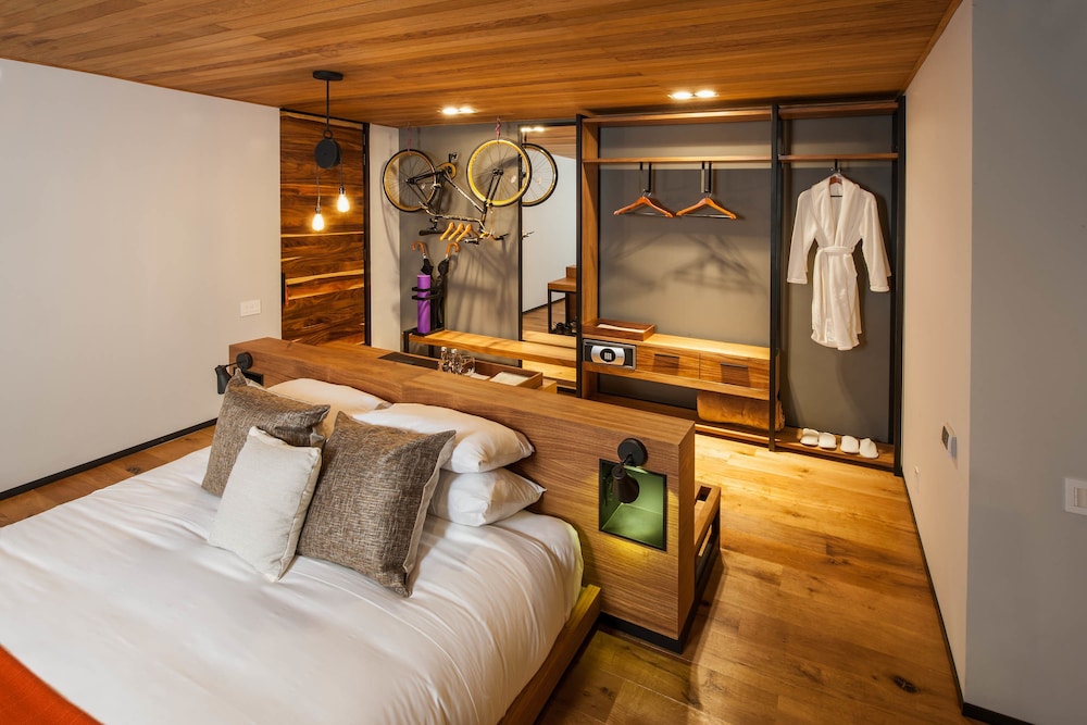 Forest Suite
