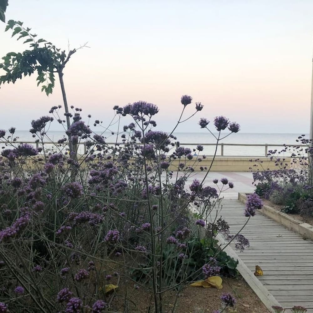 SEA View Apartment With 2 Pools Fully Equipped 4PP By Myrentalhost, Kuva 40