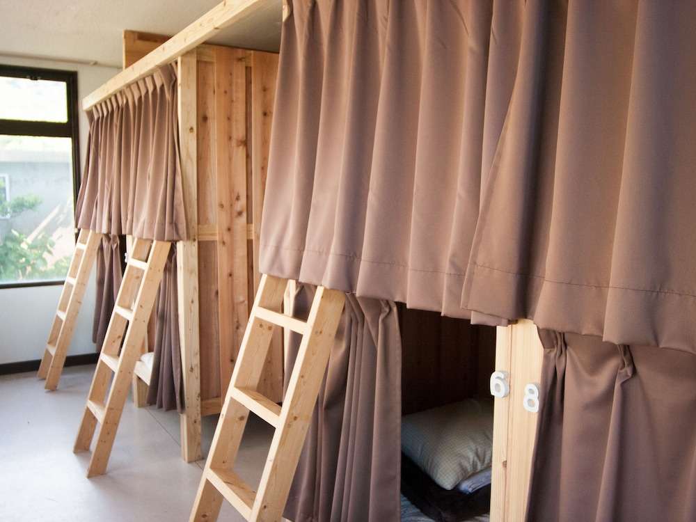 Shared Dormitory, Mixed Dorm photo 3
