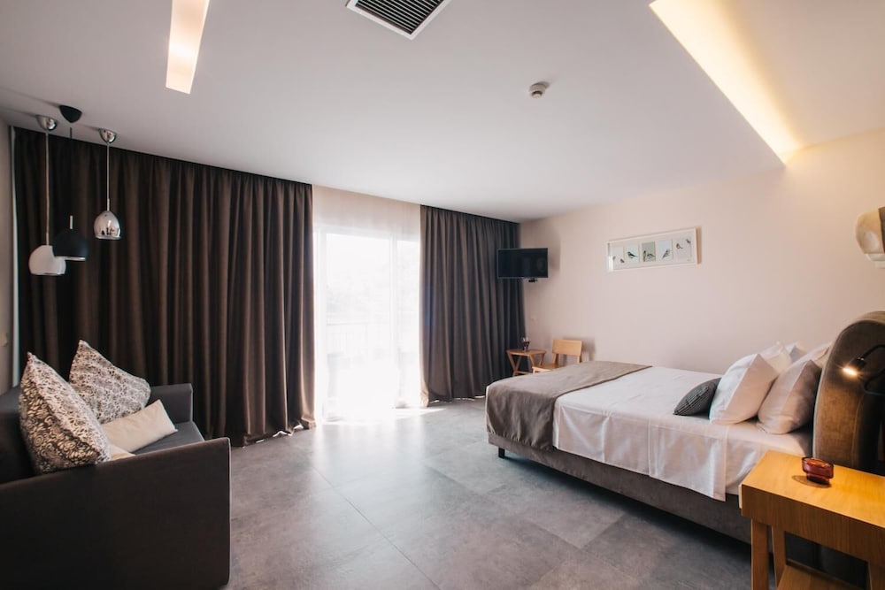Double Room, Mountain View - Photo 3