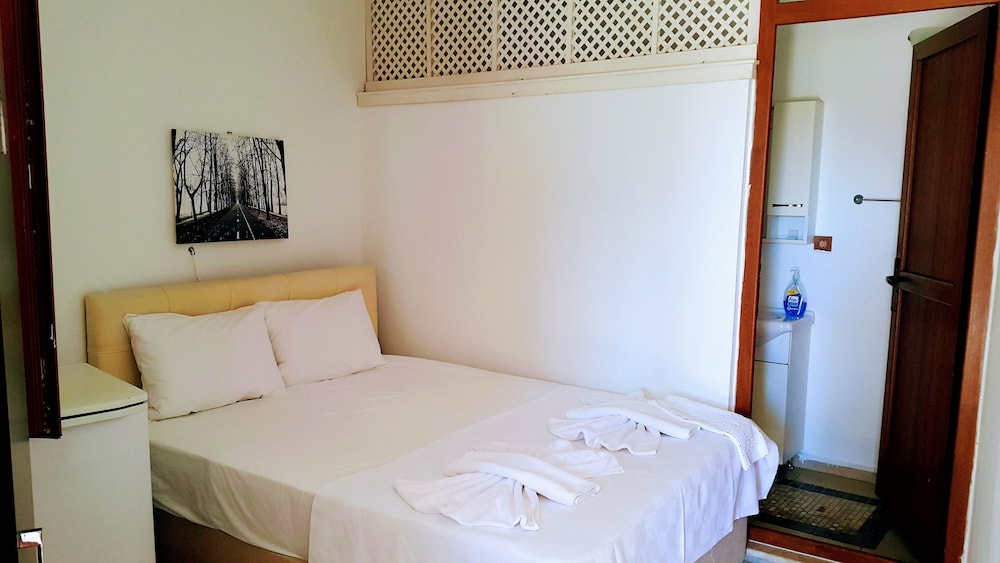 Economy Studio, 1 Bedroom, Courtyard View photo 1
