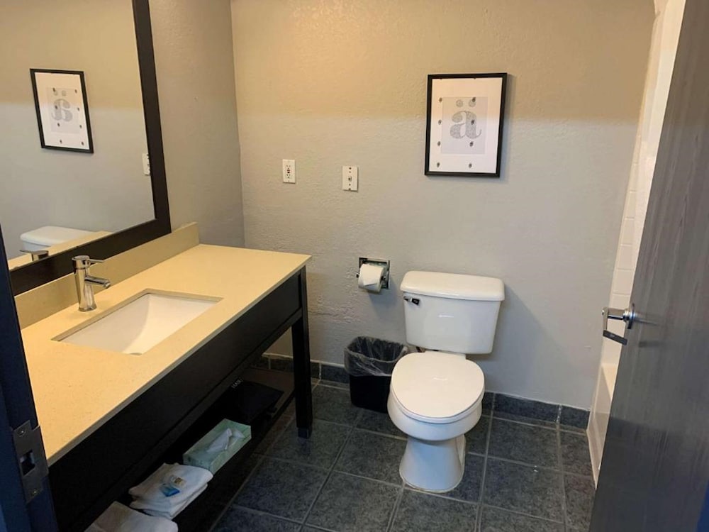 Studio Suite - Photo 2