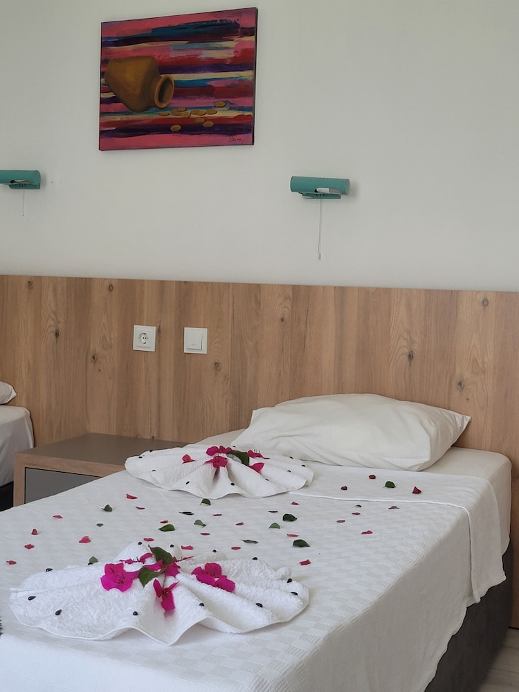 Standard Double or Twin Room photo 1