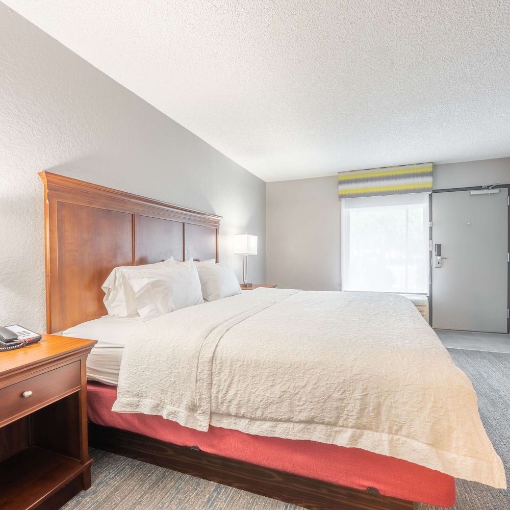 Room, 1 King Bed, Accessible, Non Smoking - Photo 1