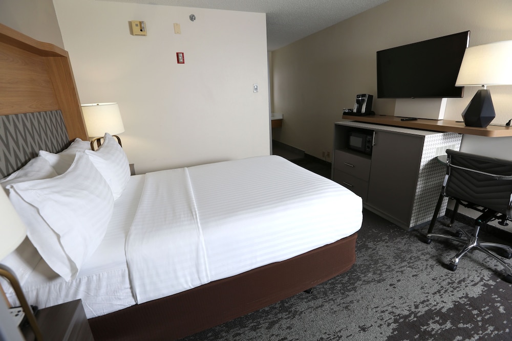 Standard Room, 1 Queen Bed, Accessible (Roll-In Shower) - Photo 4
