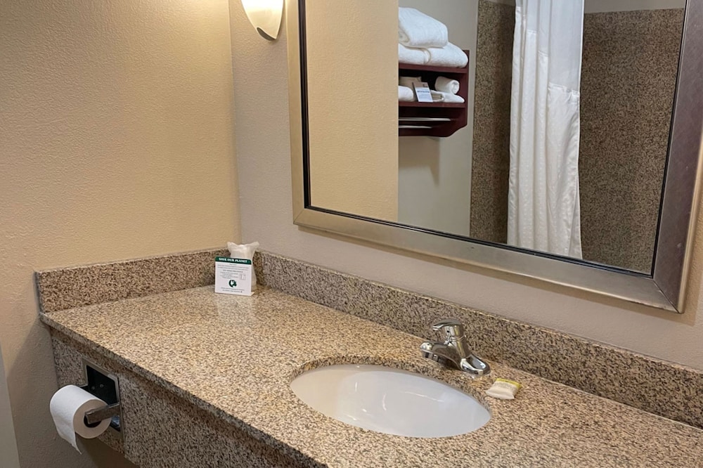 Standard Room, 1 King Bed, Roll-in Shower (Roll-In Shower) - Photo 7