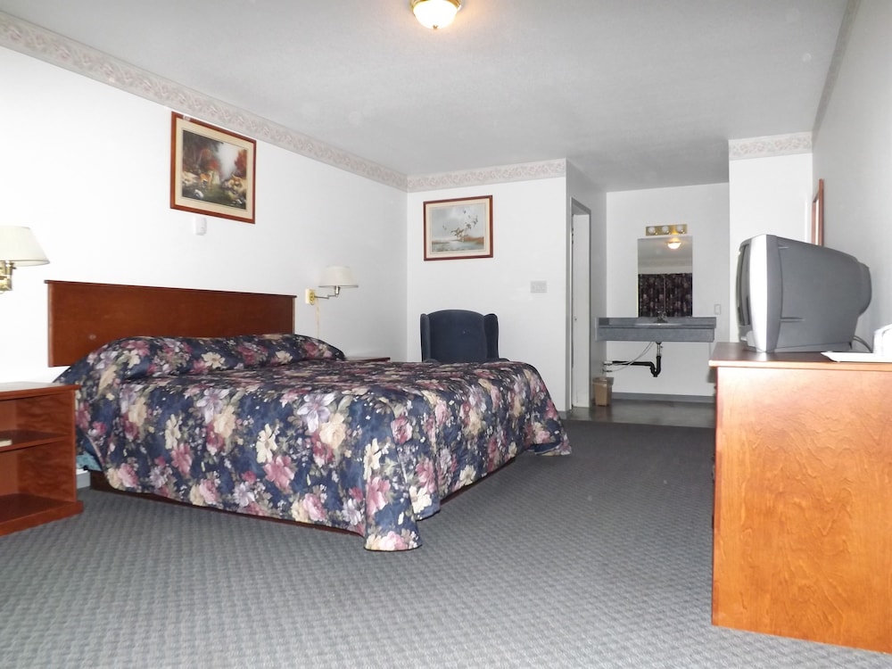 Room, 1 King Bed