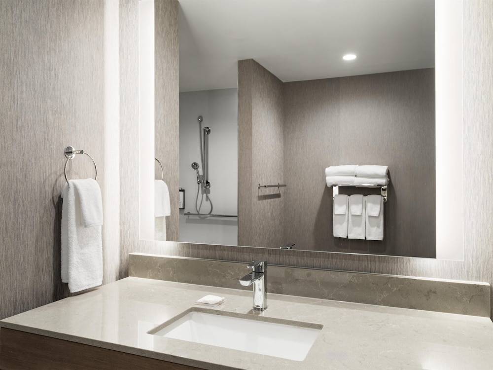 Room, 1 King Bed with Sofa bed, Roll-in Shower