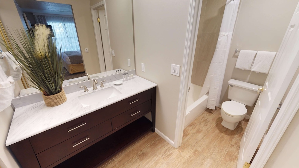 Signature Suite, 1 King Bed with Sofa bed, Accessible, Kitchen - Photo 5