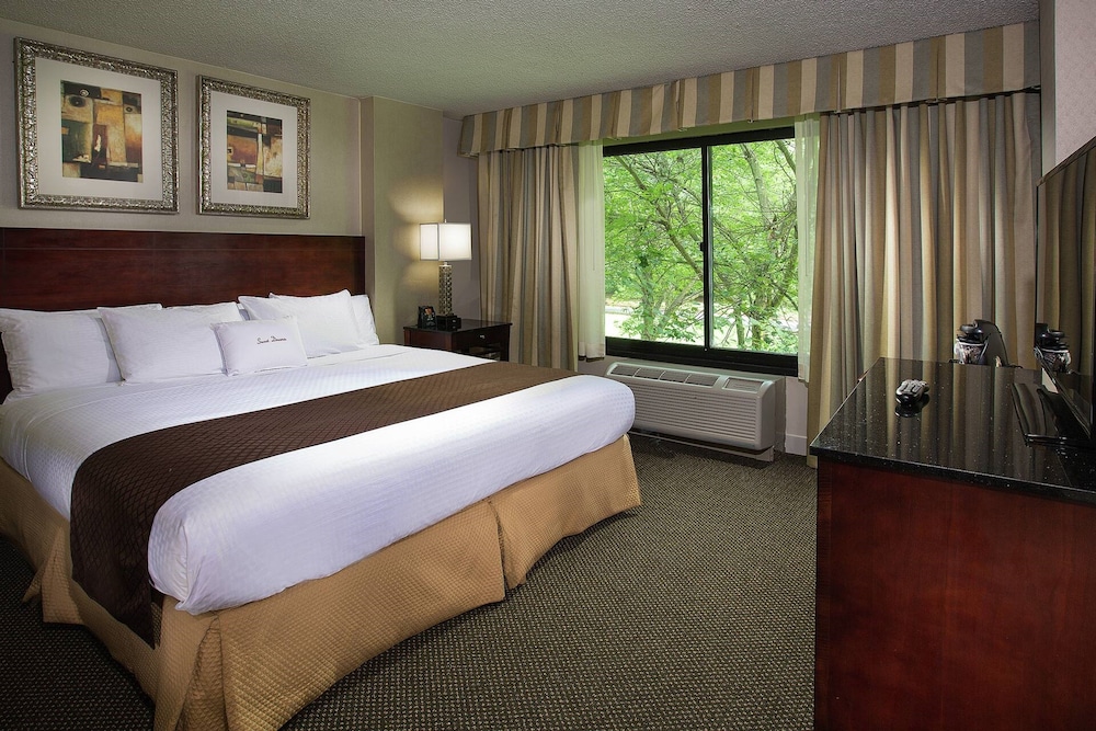 Suite, One King Bed, Non-Smoking - Photo 1