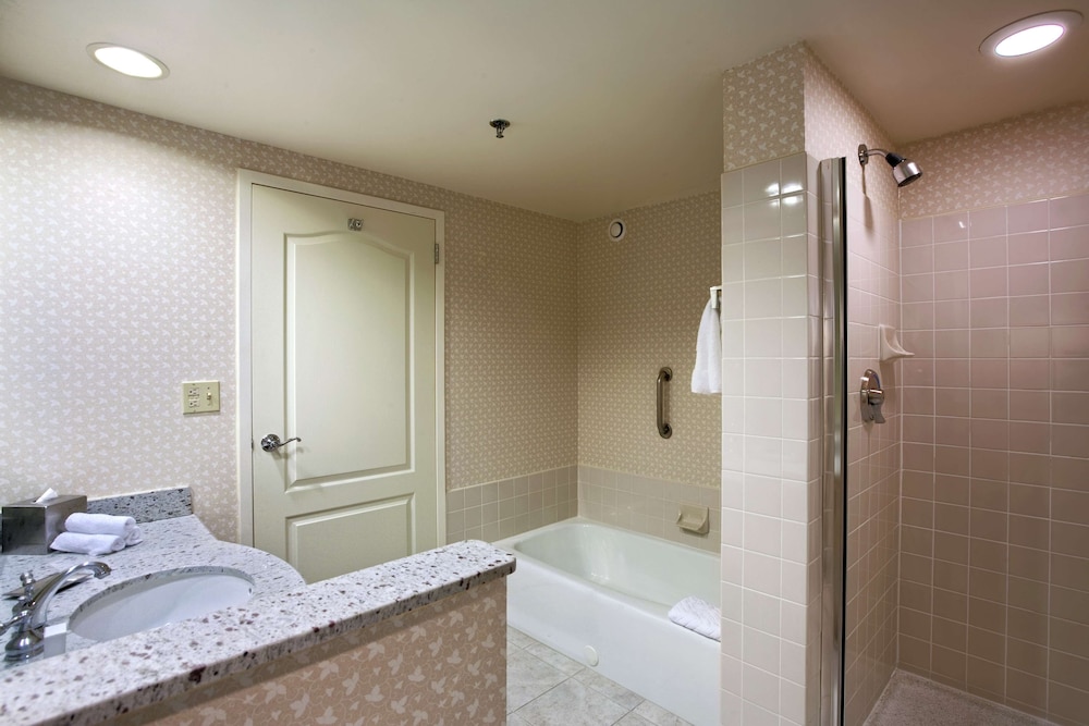 Suite, 1 Bedroom (One King Bed) photo 3