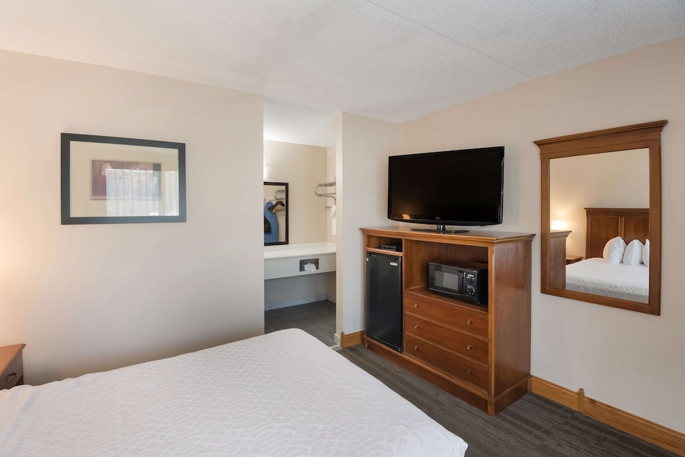 Standard Room, 1 Double Bed, Non Smoking, Refrigerator & Microwave (Pet Friendly) - Photo 2