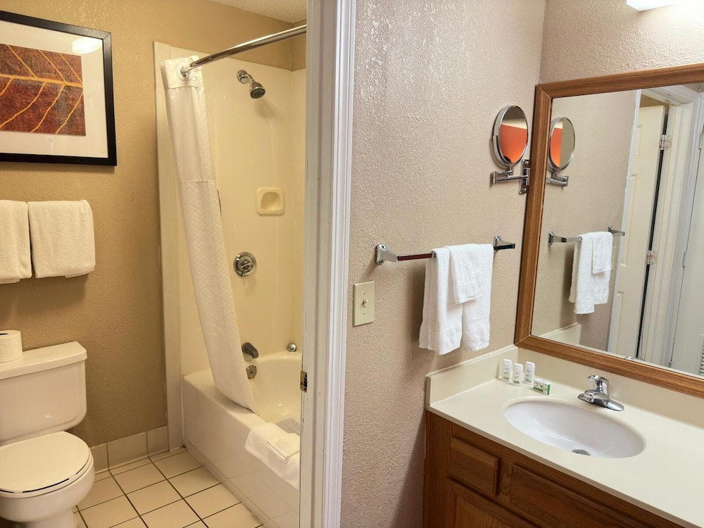 Studio Suite, 1 Queen Bed, Accessible, Non Smoking - Photo 8