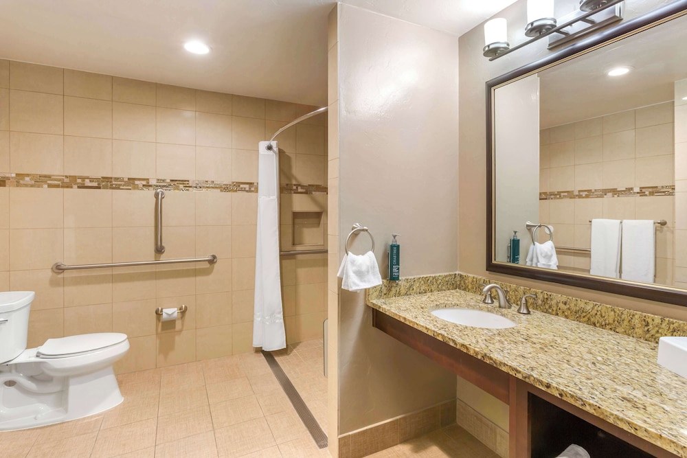 STUDIO 1 KING WITH ROLL-IN SHOWER
