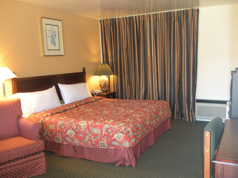 Standard Room, 1 King Bed, Non Smoking photo 1
