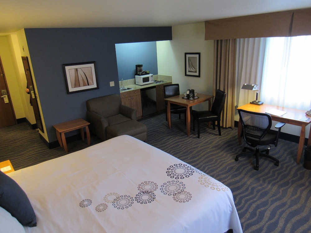 Standard Room, 1 King Bed, Non Smoking, Kitchenette - Photo 2