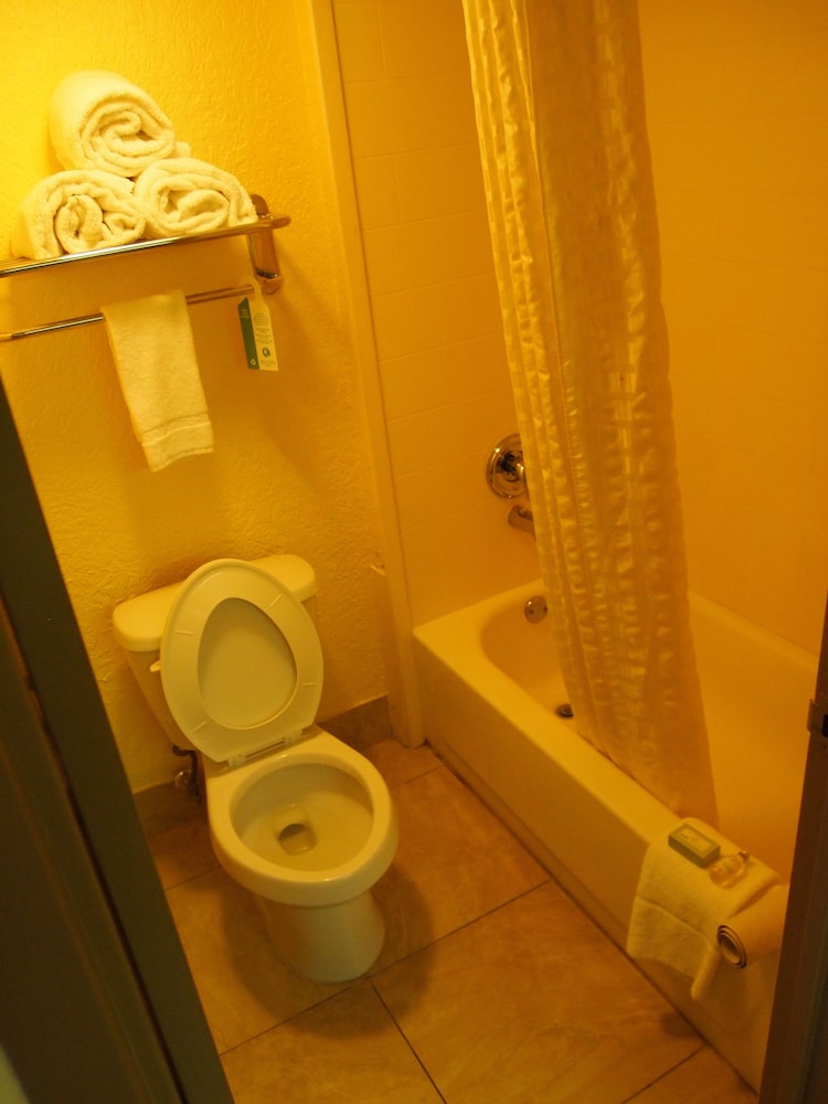 Suite, 1 King Bed, Non Smoking, Refrigerator & Microwave (with Sofabed) - Photo 2