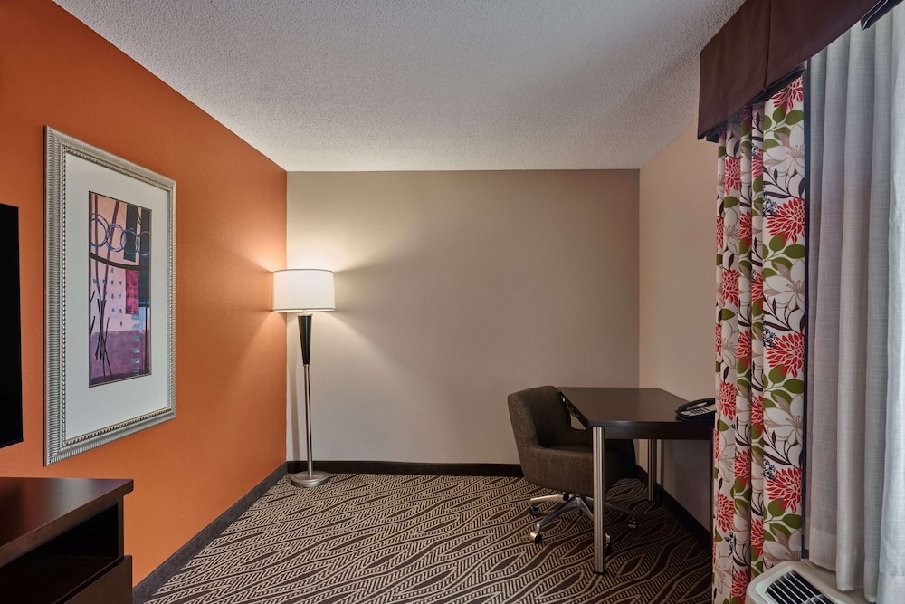Suite, 1 King Bed with Sofa bed, Accessible, Bathtub (Mobility & Hearing)