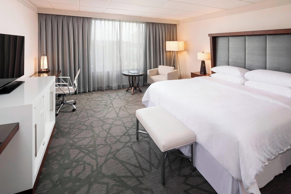Club Room, 1 King Bed photo 2