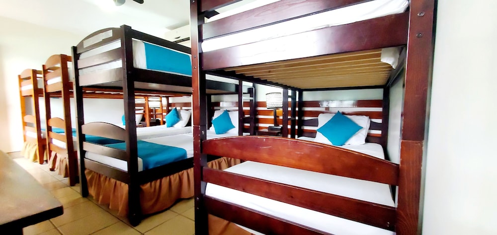 Basic Shared Dormitory, Mixed Dorm, Beach View