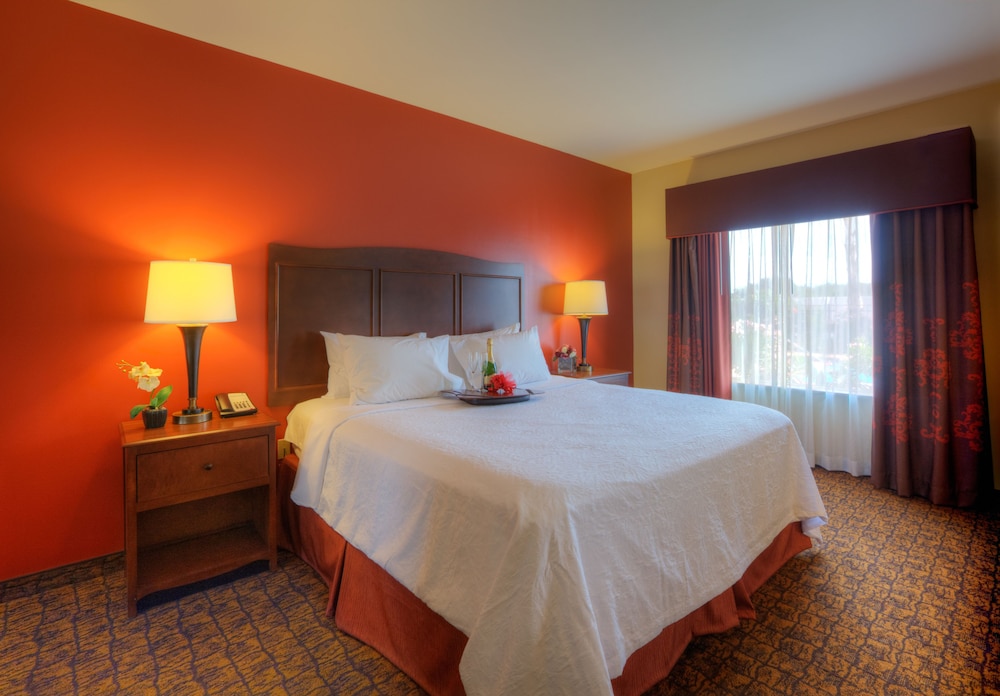 Suite, 1 King Bed, Accessible (Mobility & Hearing, Roll-in Shower) photo 2