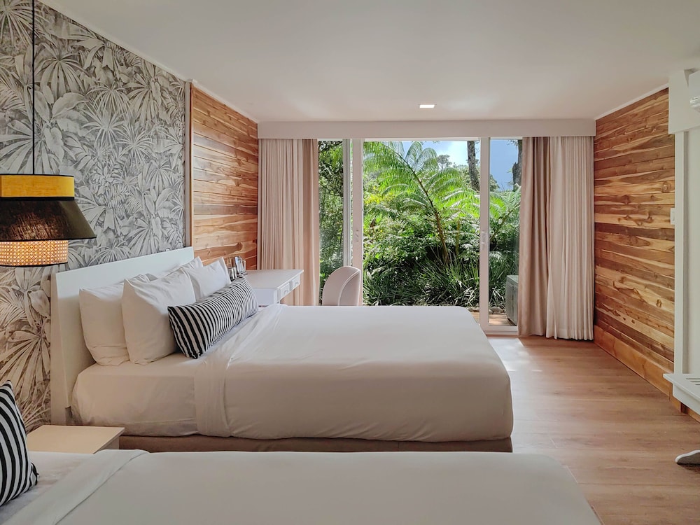 Toucanet Downstairs Rooms - 1 King Bed - Photo 3