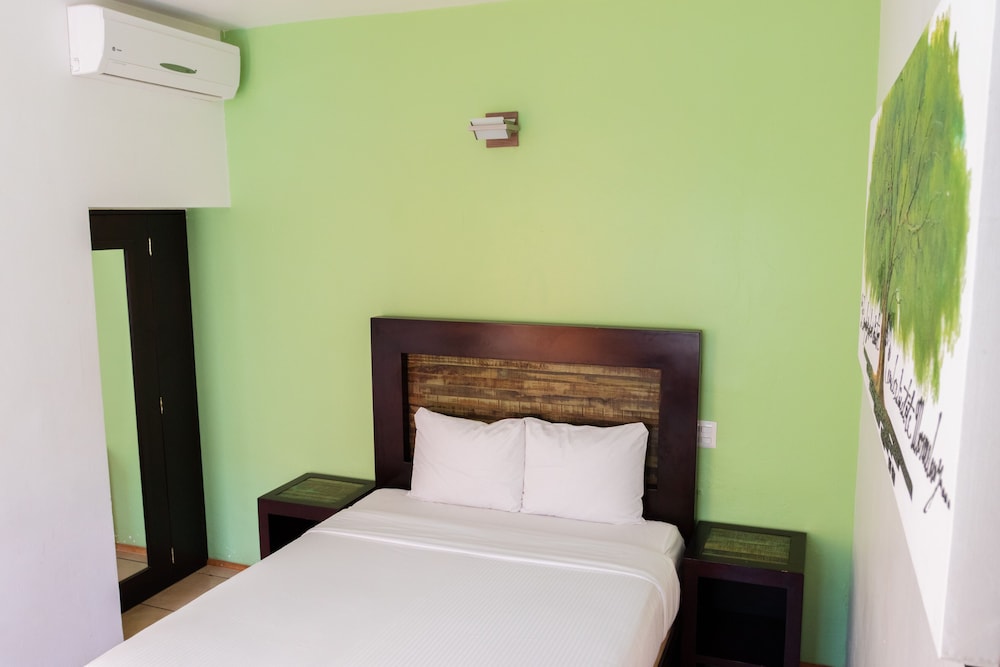 Single Room photo 2