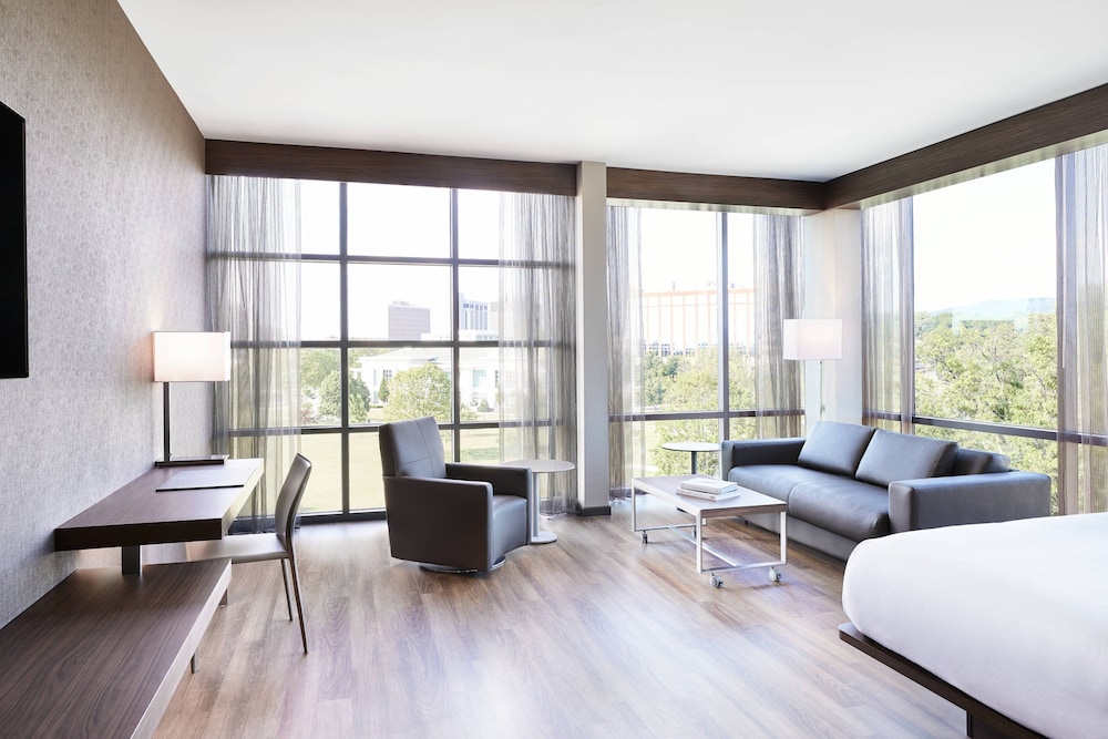 Room, 1 King Bed with Sofa bed (Mobility/Hearing Accessible, Tub)