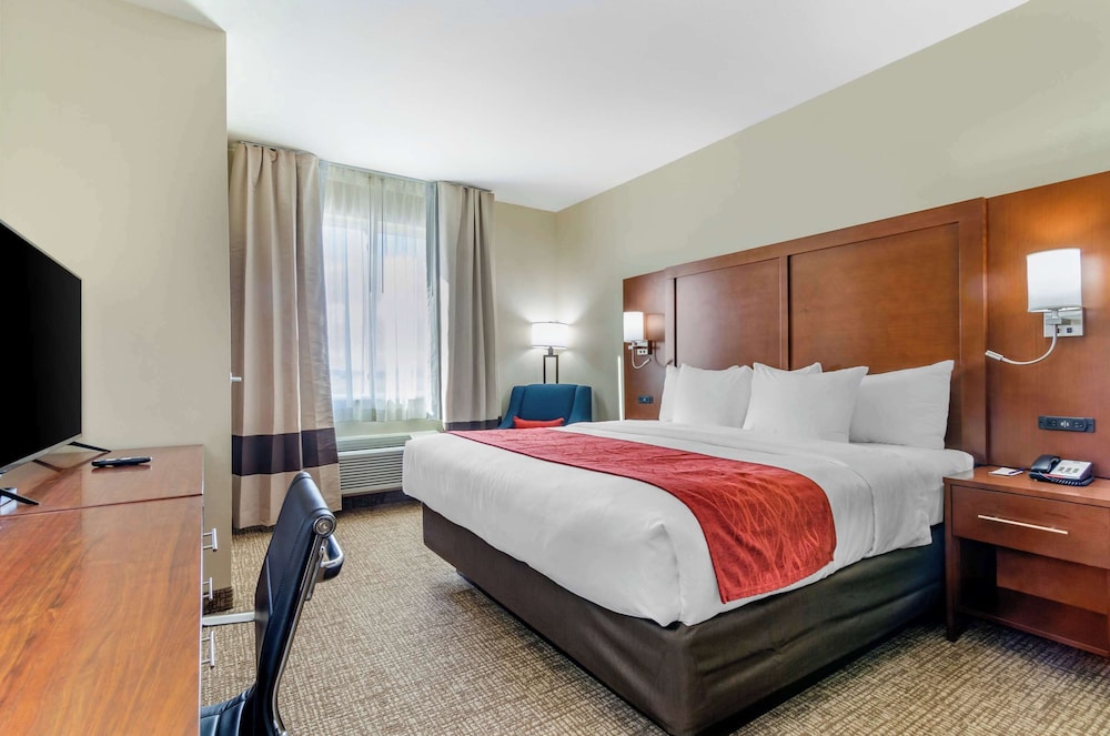 Room, 1 King Bed, Non Smoking (Wet Bar) photo 1