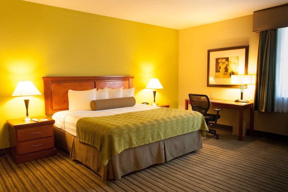 Standard Room, 1 King Bed, Accessible, Non Smoking (Walk-in Shower) - Photo 1
