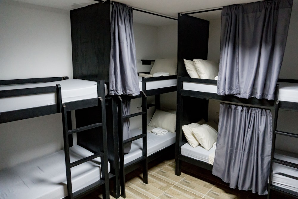 Shared Dormitory photo 3