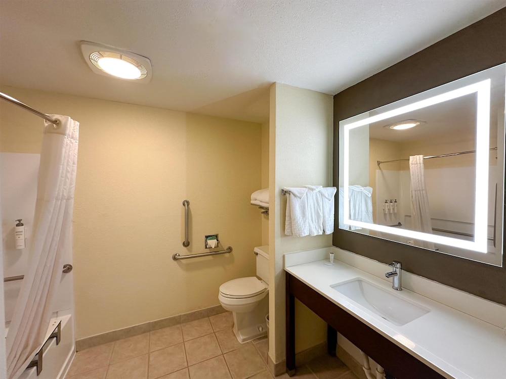 Room, 1 King Bed, Accessible - Photo 3