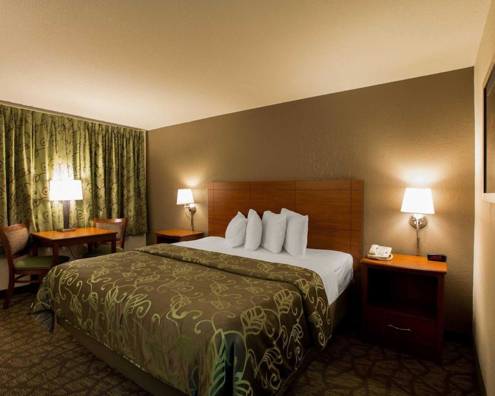 Standard Room, 1 King Bed, Non Smoking, Refrigerator - Photo 3