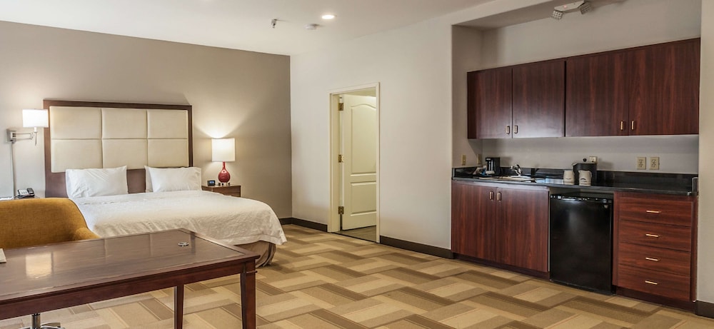 Suite, 1 King Bed, Non Smoking - Photo 1