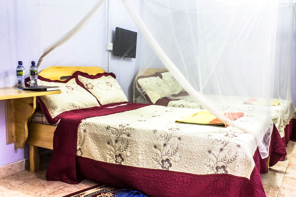 Twin Room photo 3