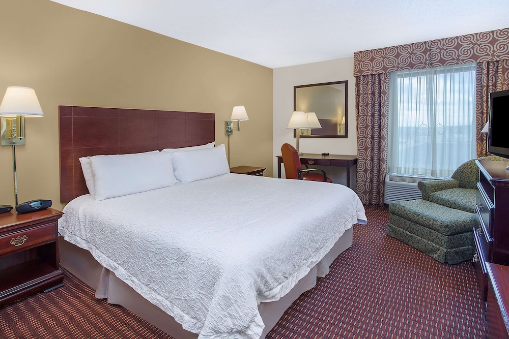 Room, 1 King Bed, Accessible, Non Smoking - Photo 5