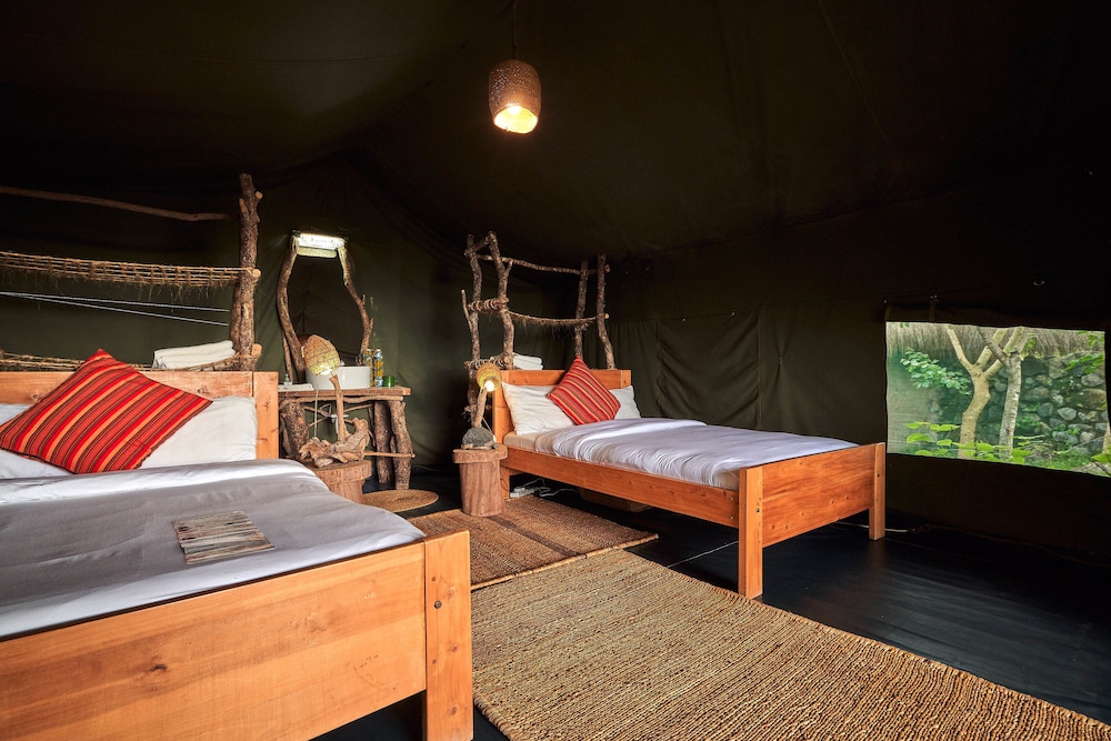 Standard Tent, Mountain View