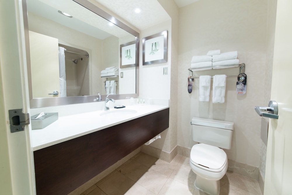 Standard Room, 1 Queen Bed, Accessible (Communications) - Photo 1