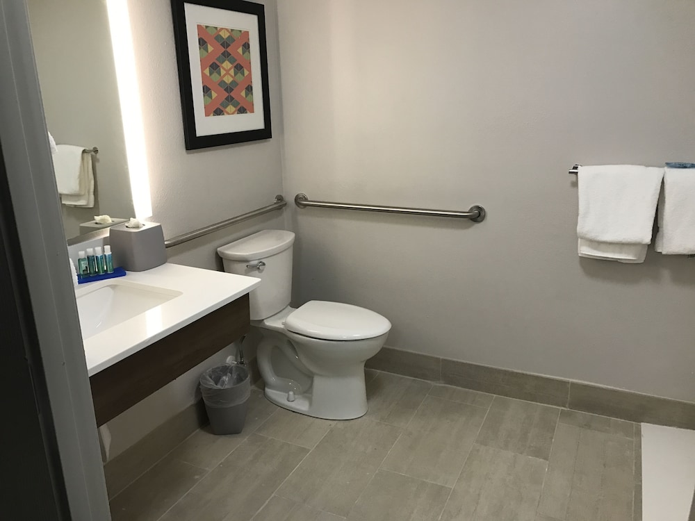 Standard Room, 1 King Bed, Accessible (Mobility Roll-in Shower) - Photo 4