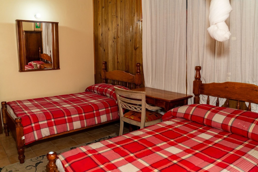 Double or Twin Room photo 1