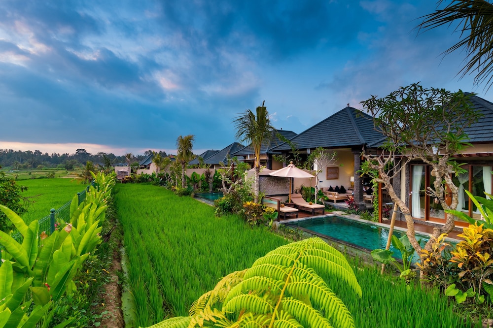 One Bedroom Pool Villa - Photo 6