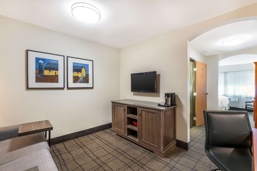Suite, 1 King Bed, Non Smoking, Refrigerator & Microwave - Photo 4