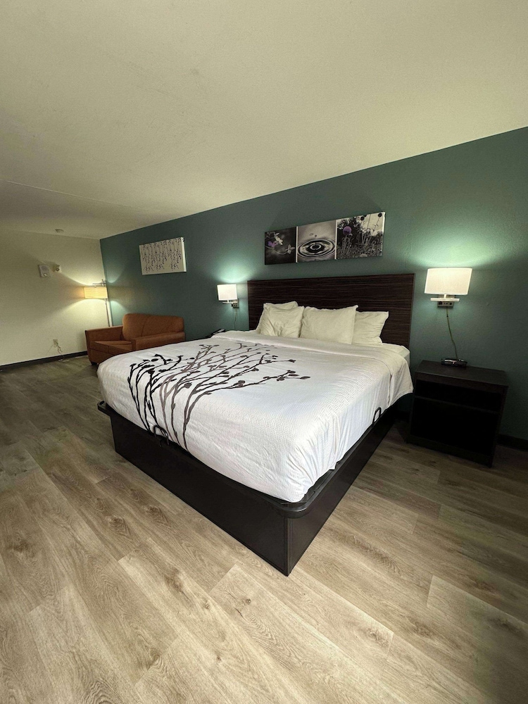 Standard Room, 1 King Bed, Non Smoking - Photo 2
