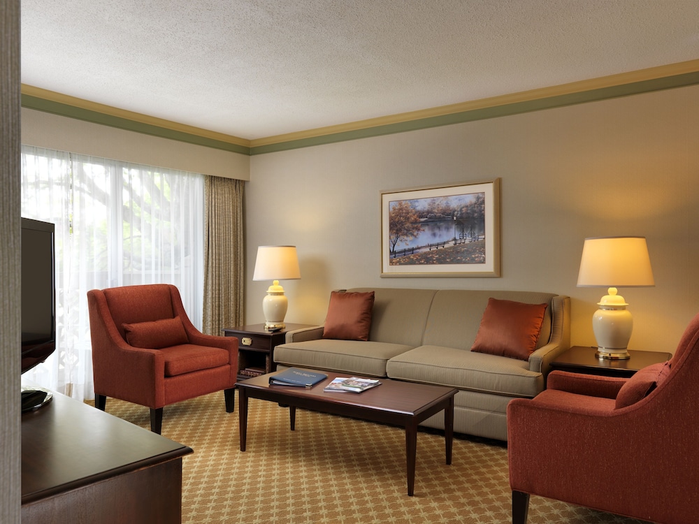 Suite, 1 Bedroom - Photo 5
