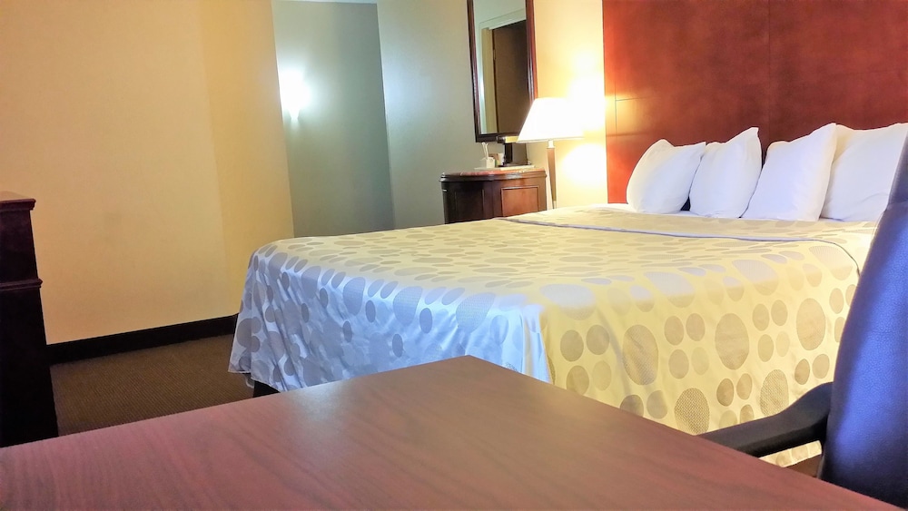 Standard Room, 1 King Bed, Smoking photo 3