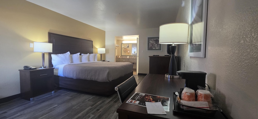 Standard Room, 1 King Bed, Non Smoking, Refrigerator & Microwave (Pet Friendly)