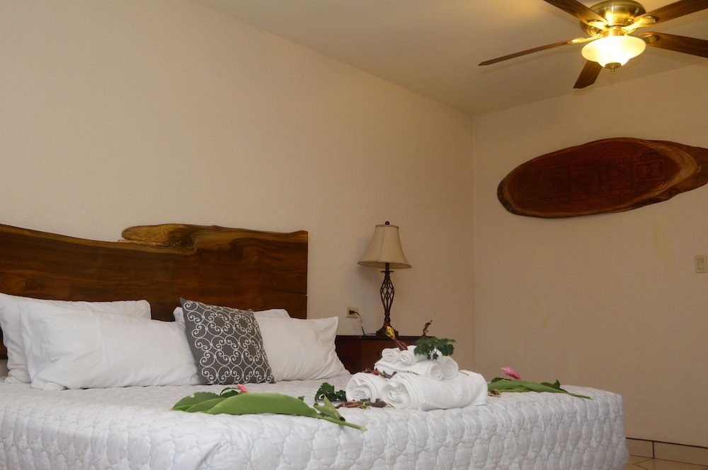 Premium Room, 1 King Bed, River View photo 2