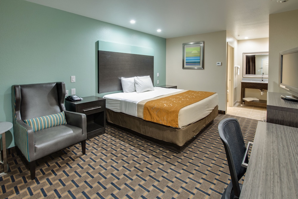 Basic Single Room, 1 King Bed, Non Smoking photo 2