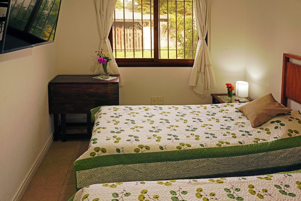 Double Room, 2 Twin Beds photo 2