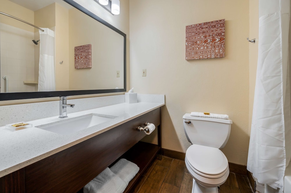 Standard Room, 1 King Bed, Non Smoking, Kitchenette - Photo 9